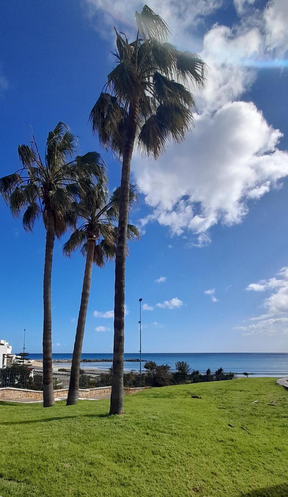 Residence Tamuda Golf A קאבו נגרו מראה חיצוני תמונה